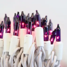 100-bulb Purple Mini Lights, 2.5" Spacing, White Wire