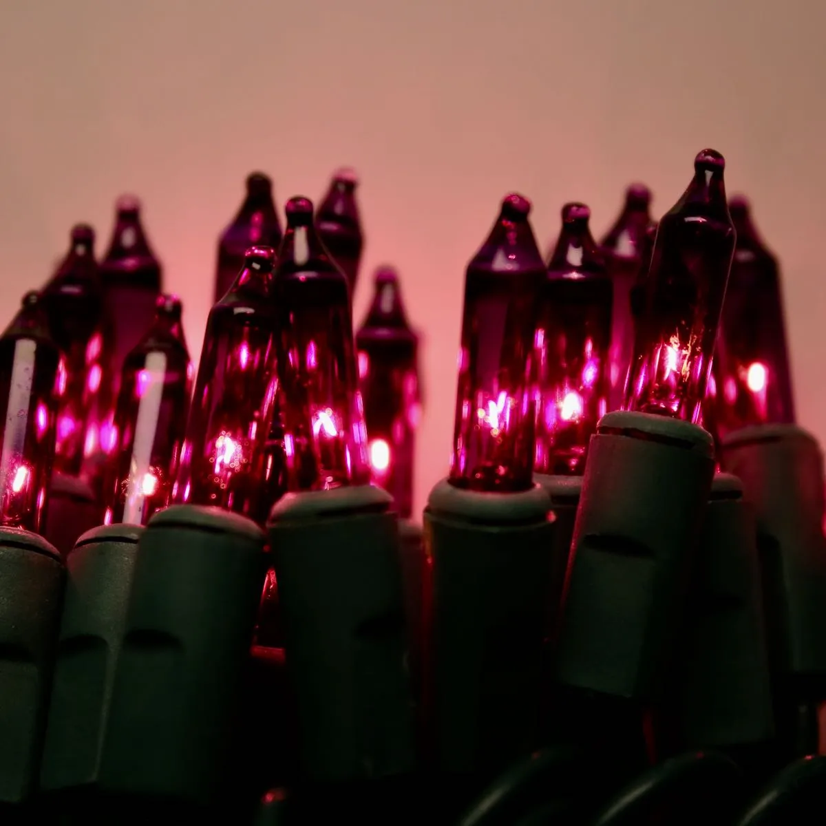 100-bulb Purple Mini Lights, 6" Spacing, Green Wire