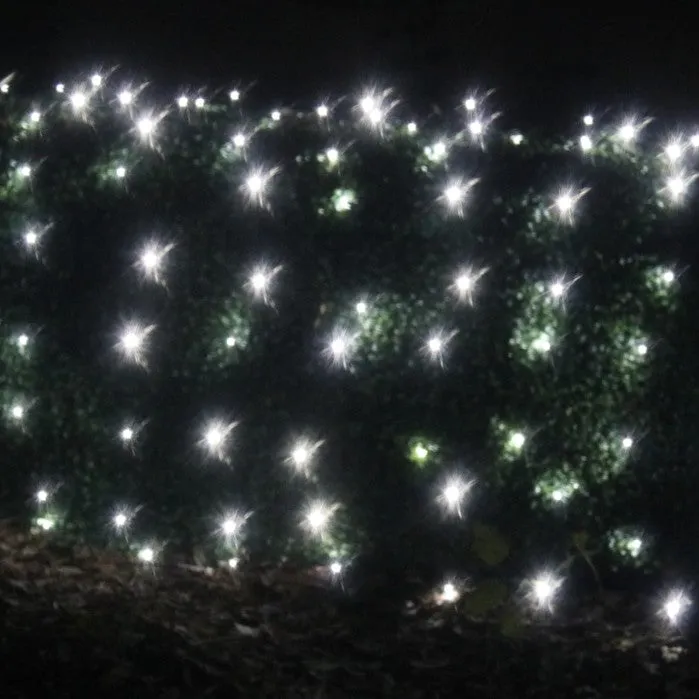 100-light M5 Pure White LED Net Lights, Green Wire