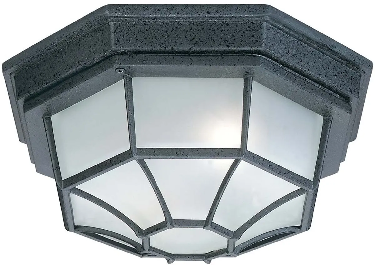 11"W 2 Lamp Outdoor Ceiling Light Black