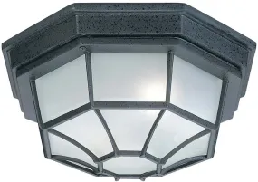 11"W 2 Lamp Outdoor Ceiling Light Black