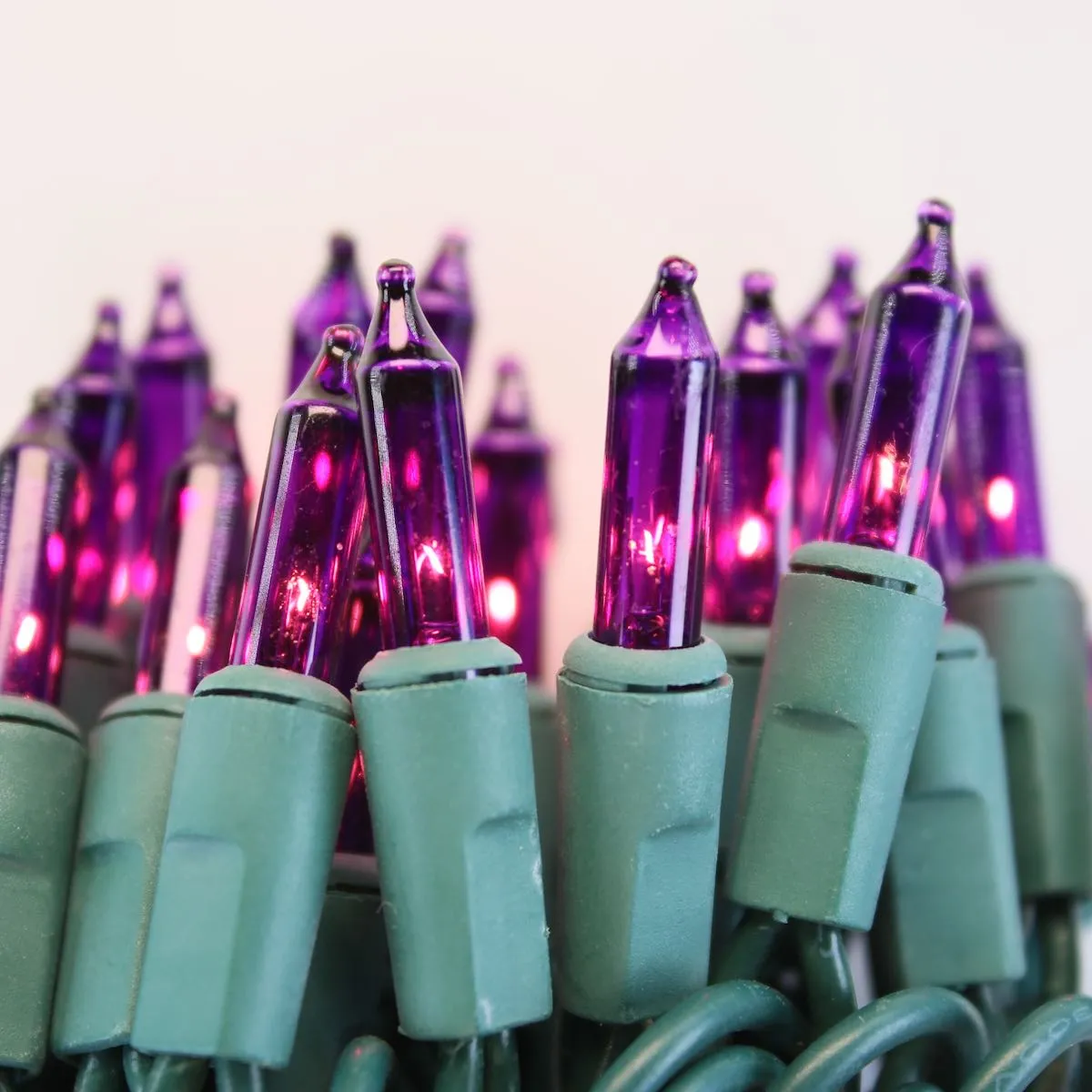 50-bulb Purple Mini Lights, 2.5" Spacing, Green Wire