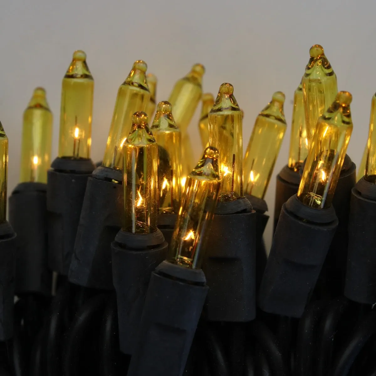 50-bulb Yellow Mini Lights, 4" Spacing, Black Wire