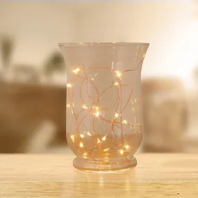 Anika 20 Warm White Battery Operated LED Copper Wire String Lights