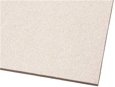 Armstrong Dune Square Lay-In Acoustical Ceiling Panel' 24X48X5/8 In.' 6 Per Case