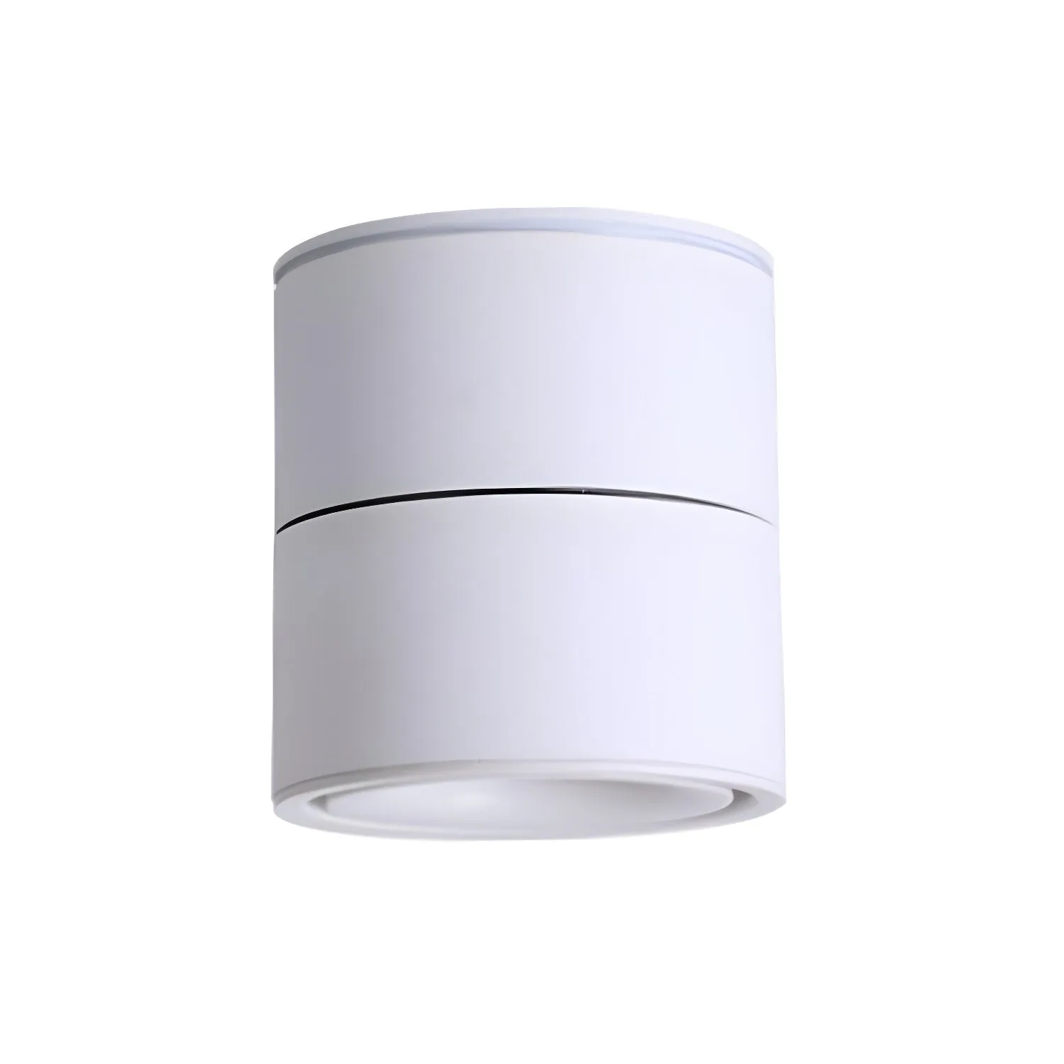 Artemis Surface Downlight