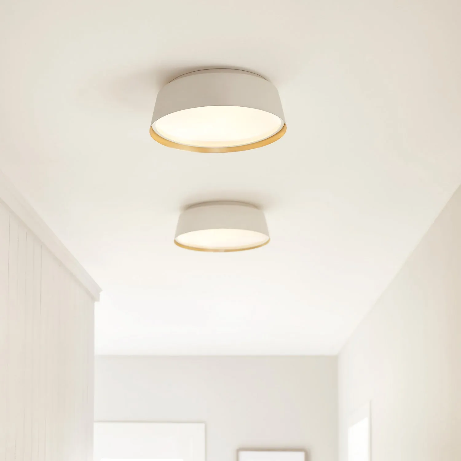 Asher Flush Mount Ceiling Light