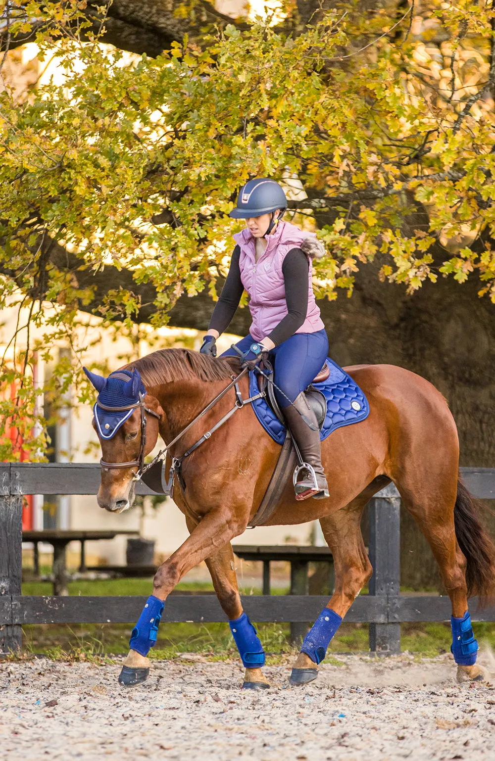 BARE Luxe Sport Saddle Pad - Jump Cut - Blue