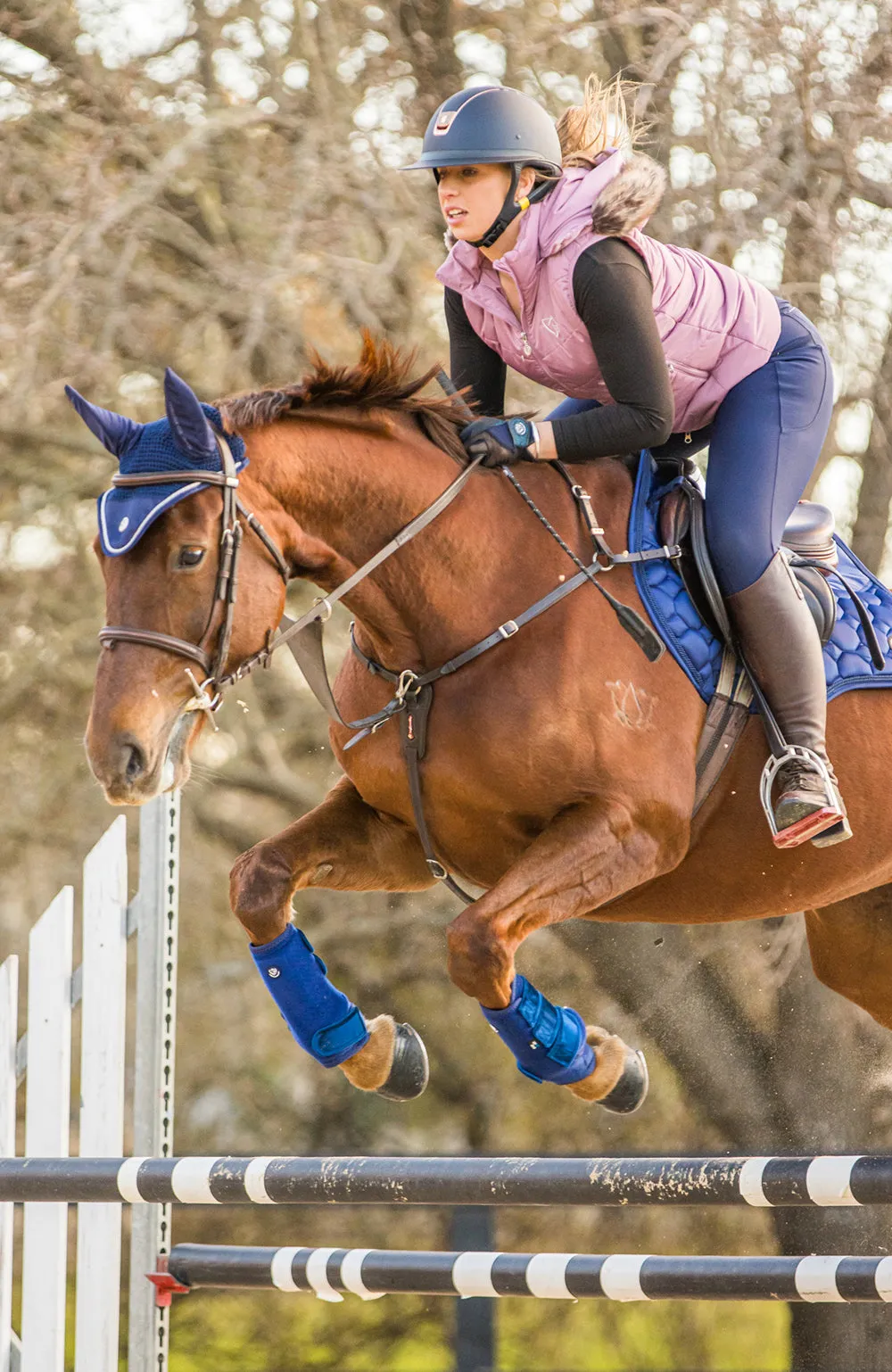 BARE Luxe Sport Saddle Pad - Jump Cut - Blue