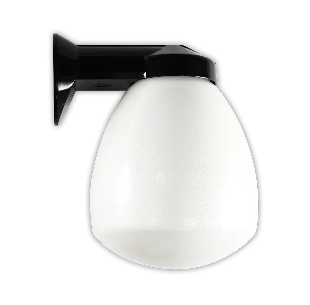 Black Proclain Glass Dome Light