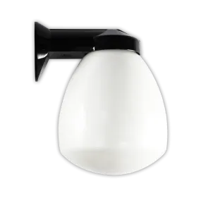 Black Proclain Glass Dome Light