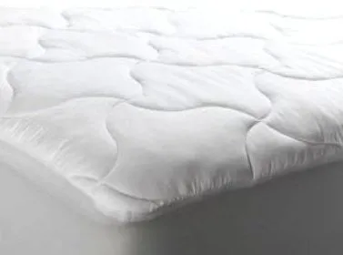 Carpenter Co. Slumberfresh Mattress Pad | Antibacterial