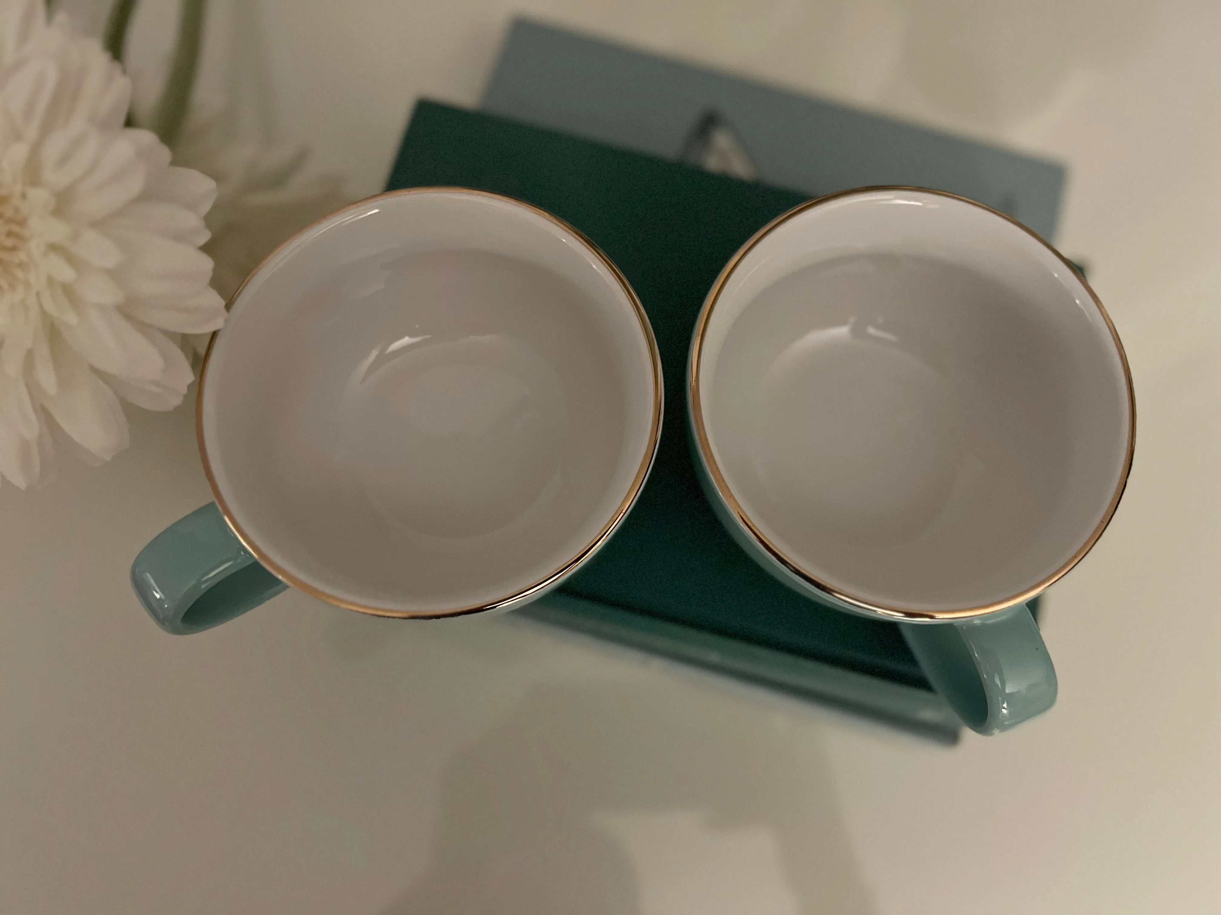 David's Tea Robin Egg Blue Tea Cups with Gold Trim