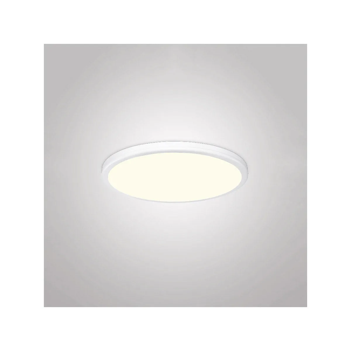 Geos 15 in. LED Disk Light 2700K Silver Finish