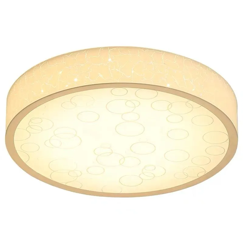 LED Acrylic Bubble Metal Ceiling Light for Living Room