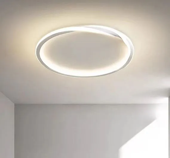 LED Spiral Minimalism Ceiling Light