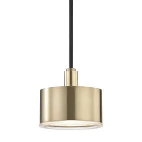 Mitzi Lighting Nora Ages Brass Pendant Ceiling Light