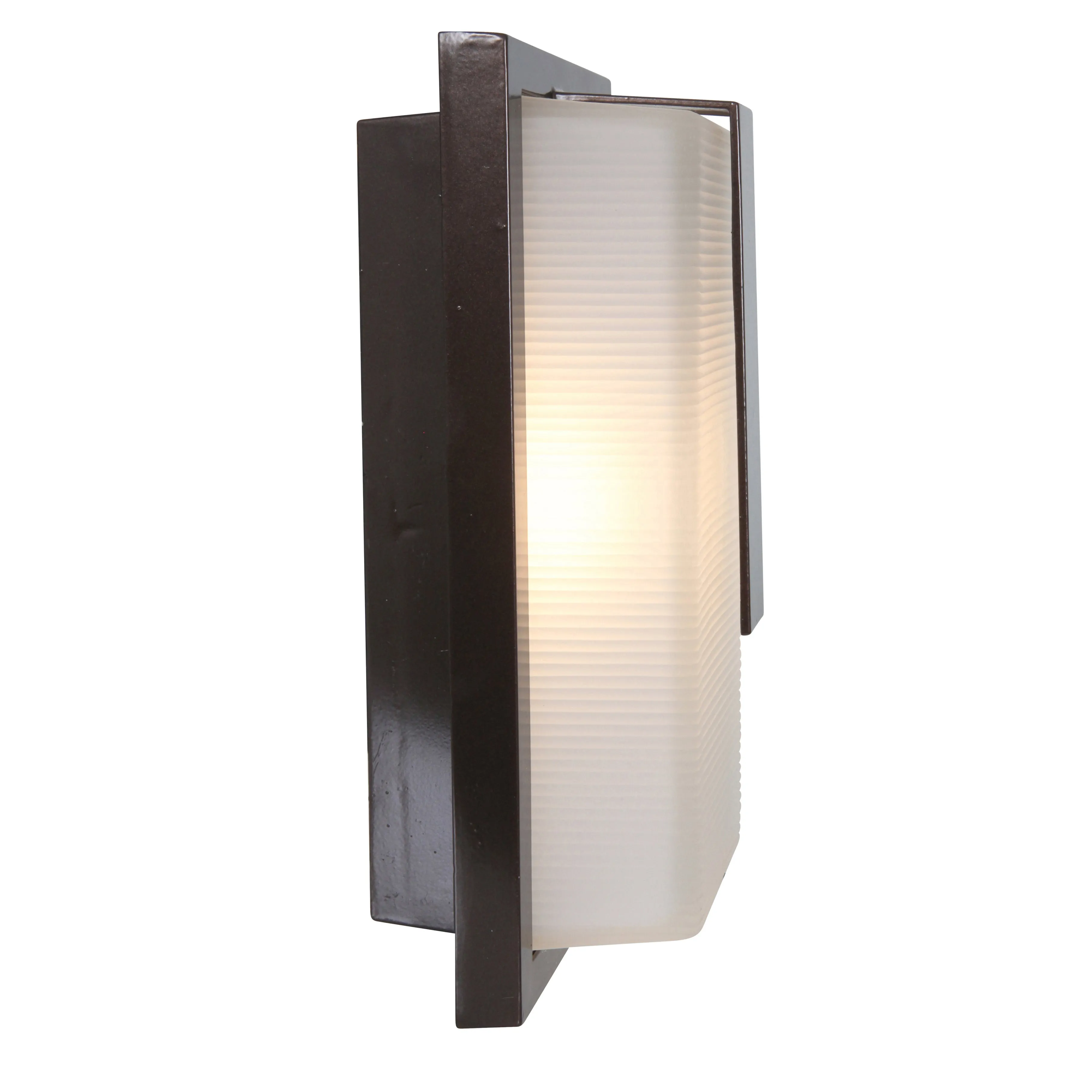 Neptune Outdoor 1 Light  LED Wall Mount Fixture