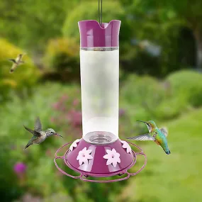 Our Best Royal Berry Hummingbird Feeder