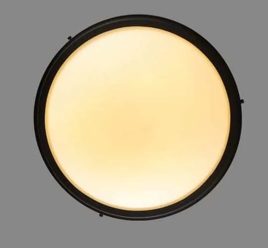 ÁSBJÖRN Moonstone Ceiling Lamp