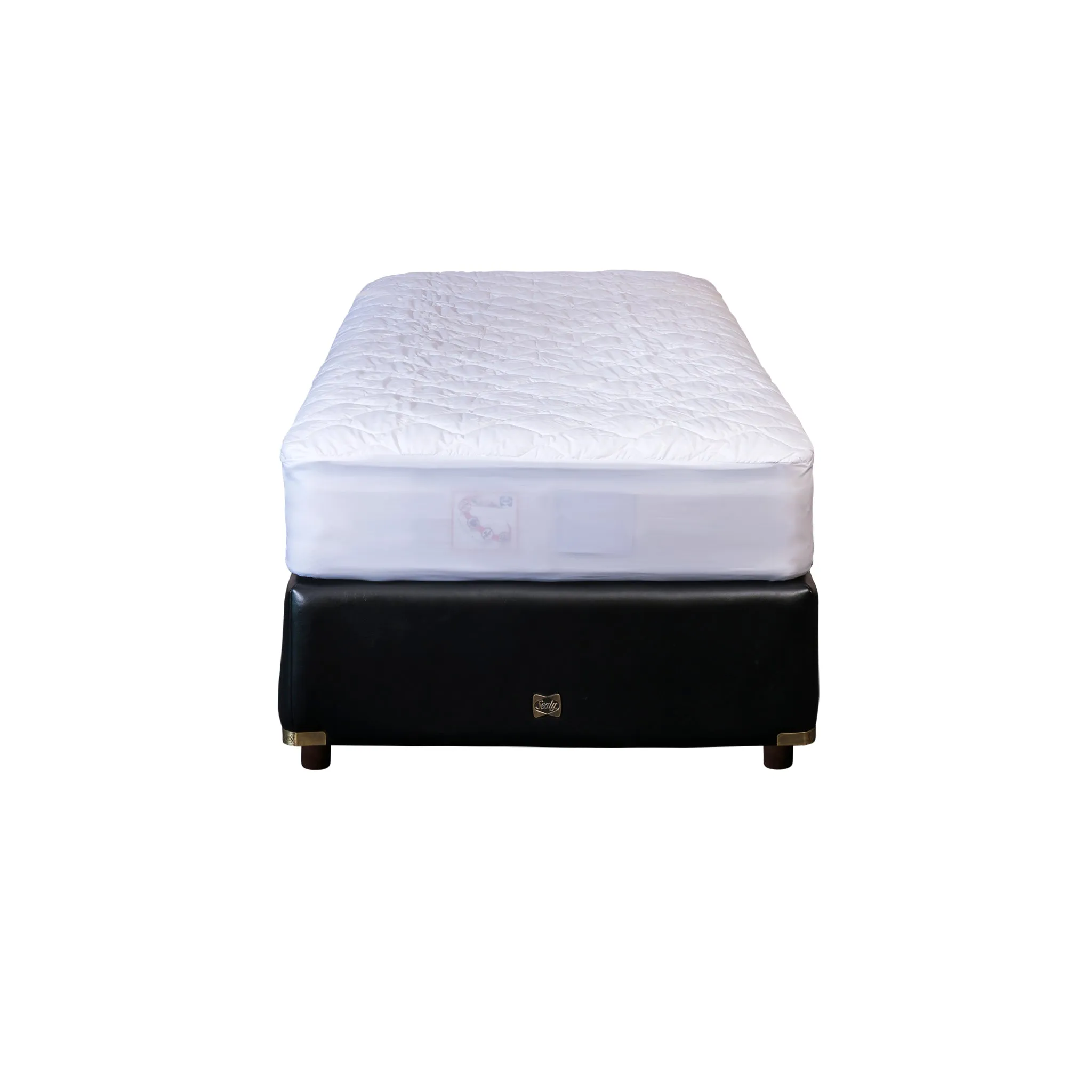 Sealy Water Resistant Fitted Mattress Protector