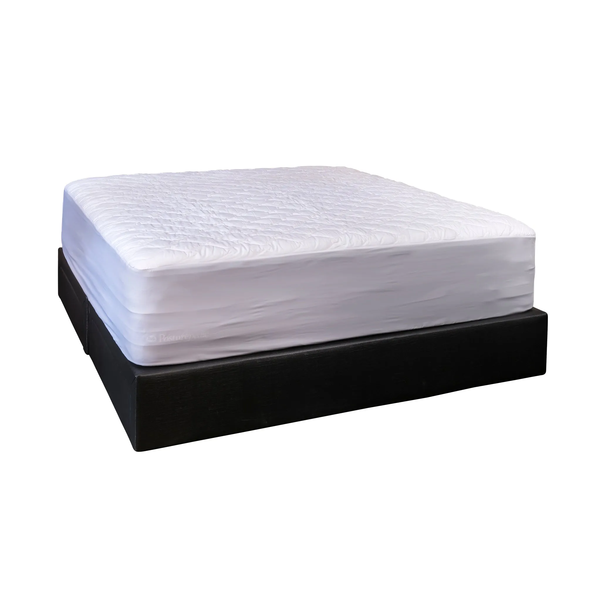 Sealy Water Resistant Fitted Mattress Protector