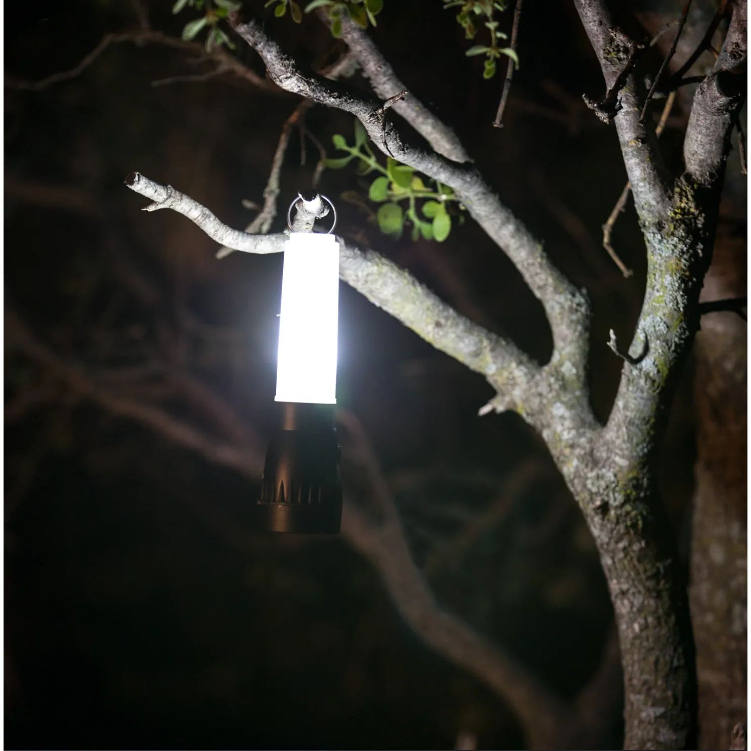 Stormproof AR-Tech Floating Flashlight   Lantern