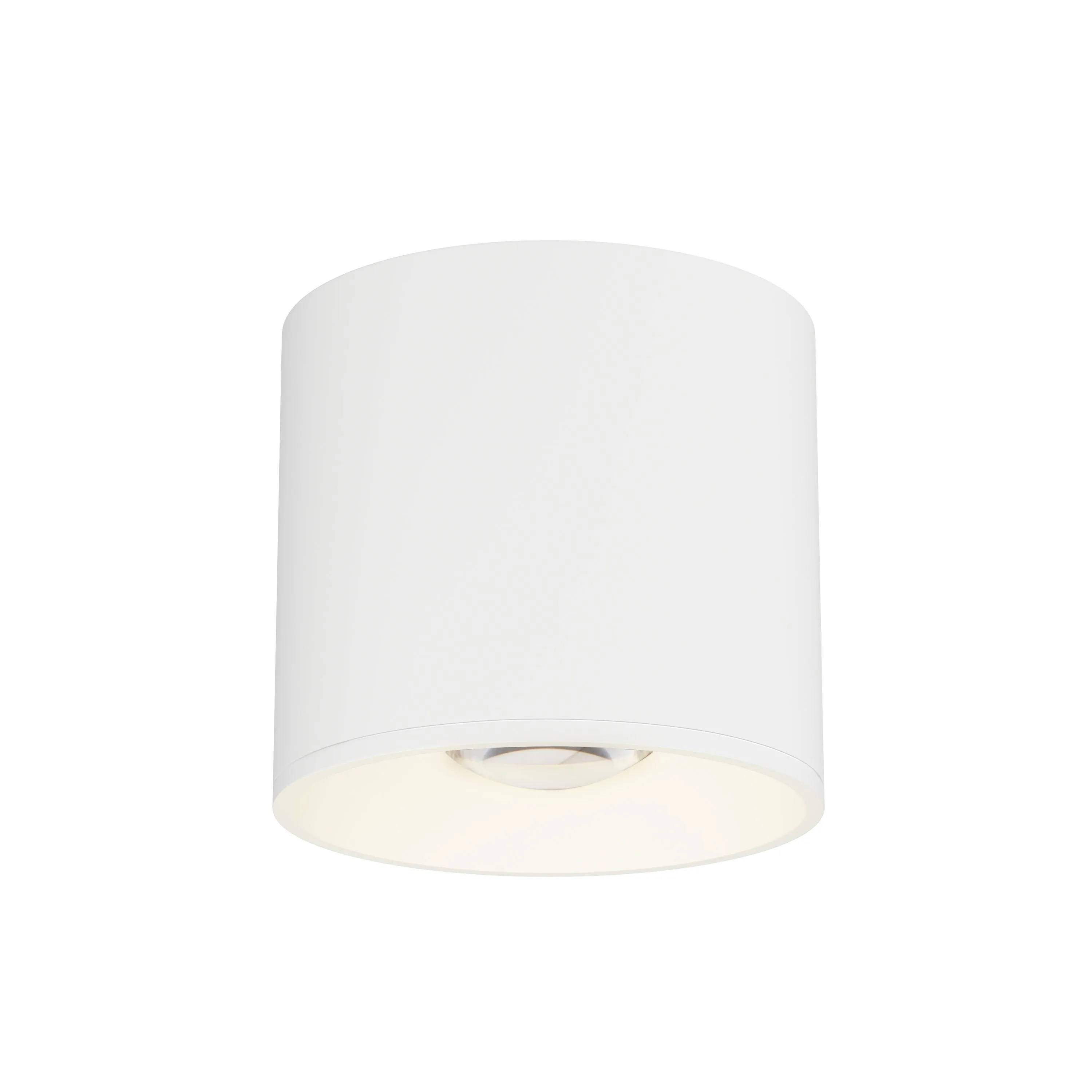 Stout RD 120-277V Indoor/Outdoor Flush Mount Ceiling Light