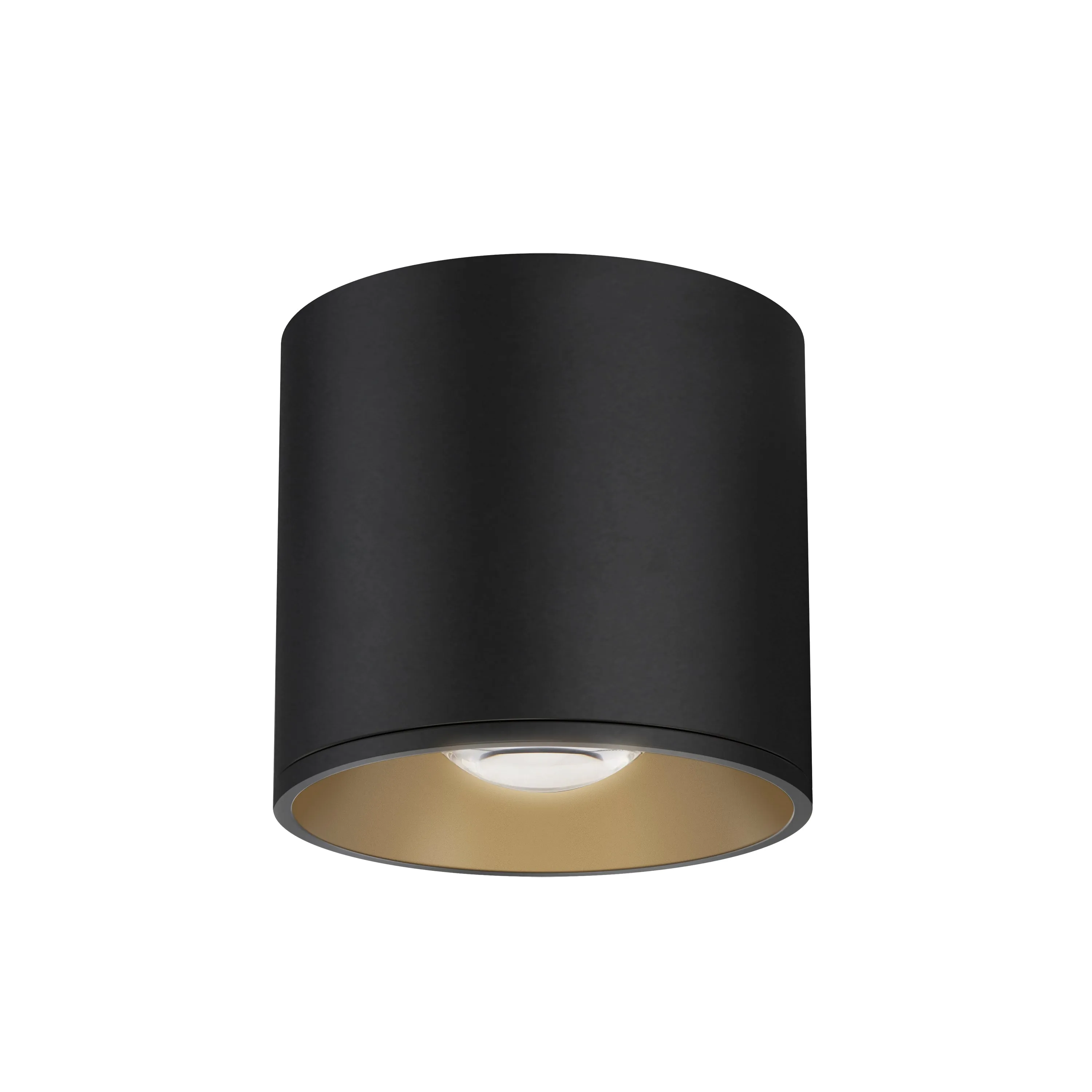 Stout RD 120-277V Indoor/Outdoor Flush Mount Ceiling Light